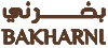 logo bakhrni 100p